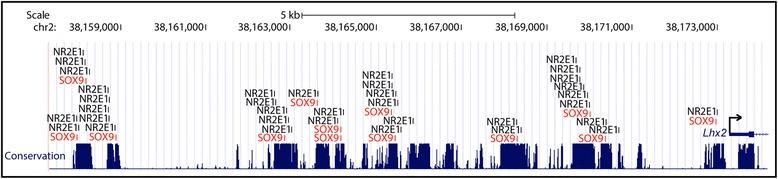 https://cdn.ncbi.nlm.nih.gov/pmc/blobs/b9f4/4512088/dadb986d42af/12864_2015_1770_Fig6_HTML.jpg