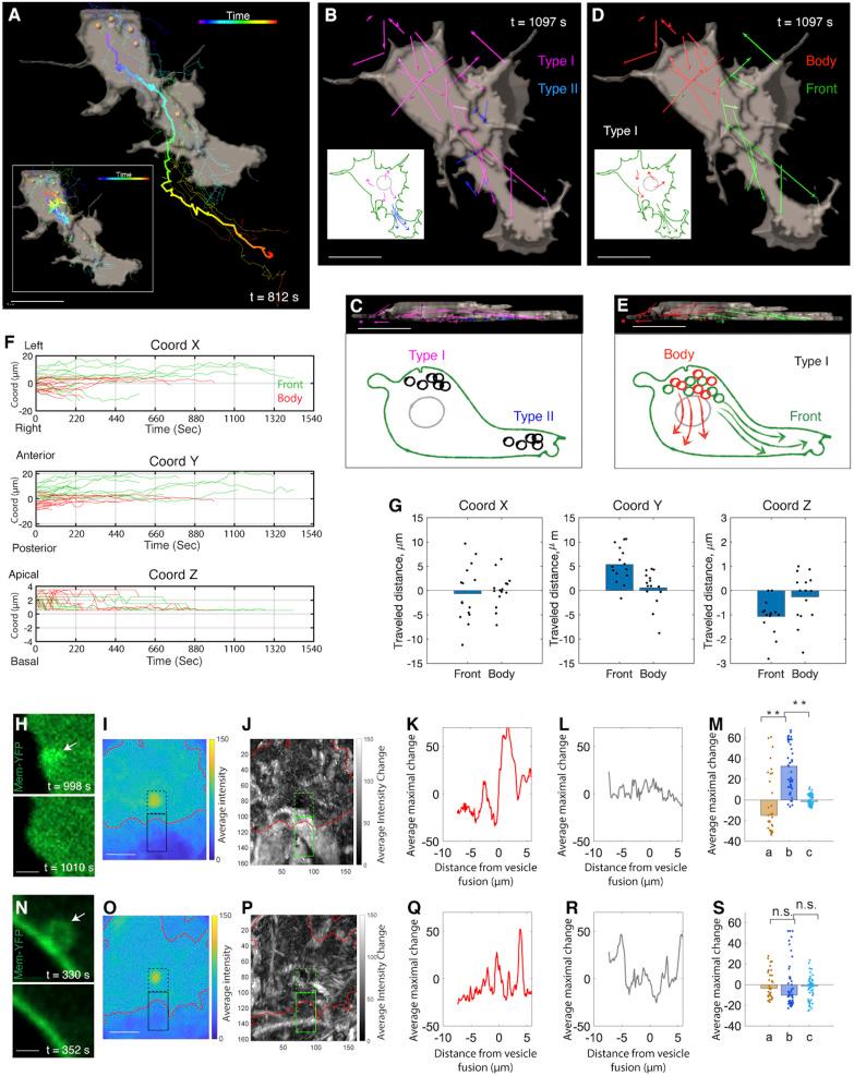 https://cdn.ncbi.nlm.nih.gov/pmc/blobs/b9f5/7959501/023cef464586/pnas.2007229117fig02.jpg