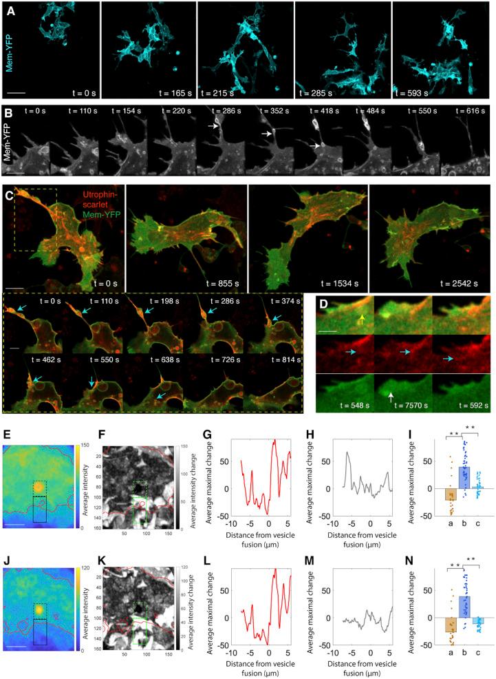 https://cdn.ncbi.nlm.nih.gov/pmc/blobs/b9f5/7959501/7f13a6ed5dce/pnas.2007229117fig04.jpg