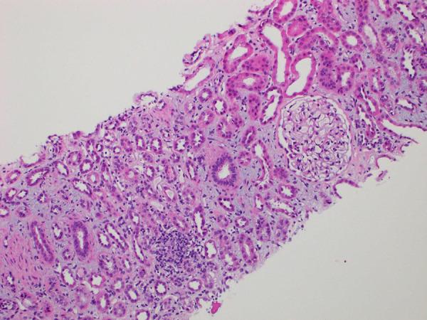 https://cdn.ncbi.nlm.nih.gov/pmc/blobs/b9f6/11407299/4ff9781c07f3/CNCS-12-048-02.jpg