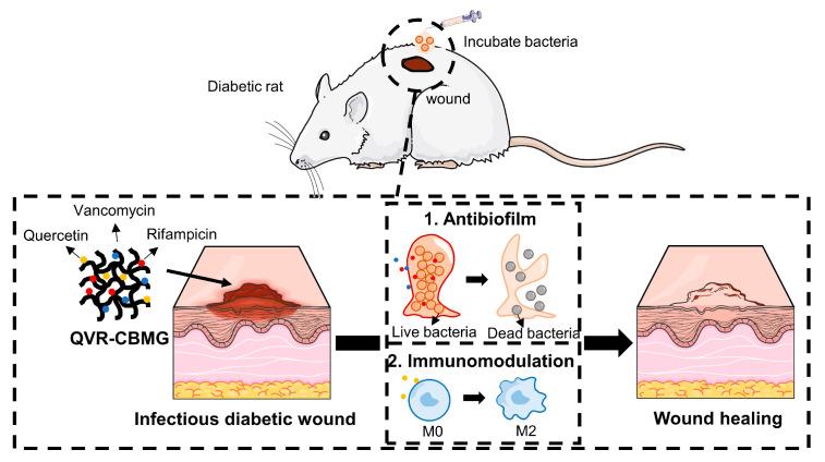 https://cdn.ncbi.nlm.nih.gov/pmc/blobs/b9f8/10530860/4e2b780c1525/gels-09-00761-sch001.jpg