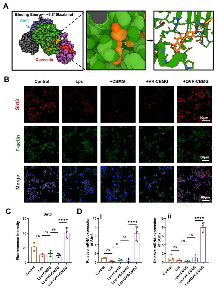 https://cdn.ncbi.nlm.nih.gov/pmc/blobs/b9f8/10530860/8ad03ce3bbaa/gels-09-00761-g004.jpg