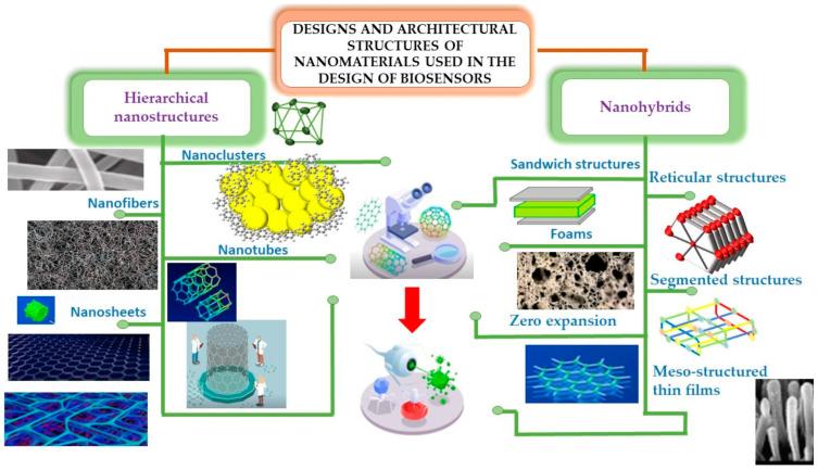 https://cdn.ncbi.nlm.nih.gov/pmc/blobs/b9f8/10887370/12b7263029a8/biosensors-14-00108-g004.jpg