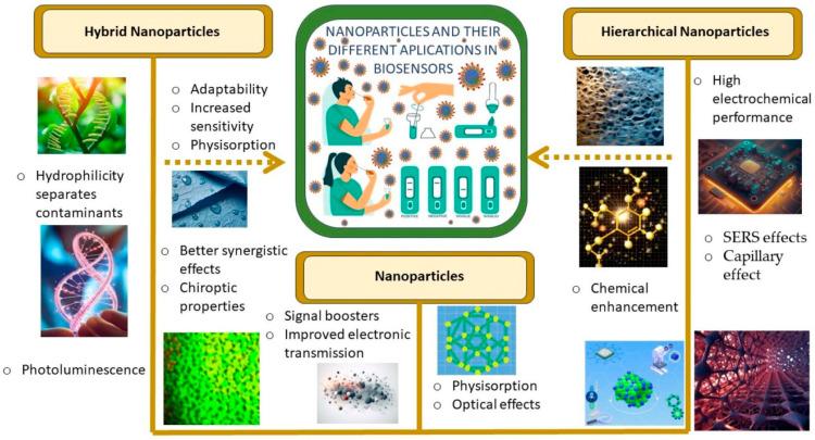 https://cdn.ncbi.nlm.nih.gov/pmc/blobs/b9f8/10887370/405bdb37127a/biosensors-14-00108-g001.jpg