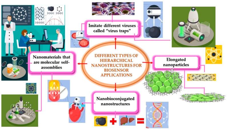 https://cdn.ncbi.nlm.nih.gov/pmc/blobs/b9f8/10887370/6fb5717589d5/biosensors-14-00108-g005.jpg