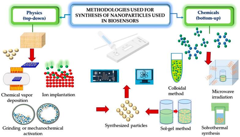 https://cdn.ncbi.nlm.nih.gov/pmc/blobs/b9f8/10887370/6fc1f7011de5/biosensors-14-00108-g002.jpg