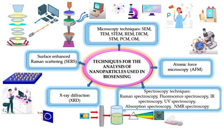 https://cdn.ncbi.nlm.nih.gov/pmc/blobs/b9f8/10887370/f39c4b0abddf/biosensors-14-00108-g003.jpg