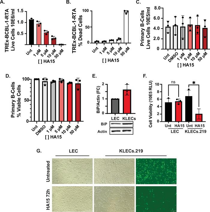 https://cdn.ncbi.nlm.nih.gov/pmc/blobs/b9f8/11548844/9a44cd225388/ppat.1012660.g005.jpg