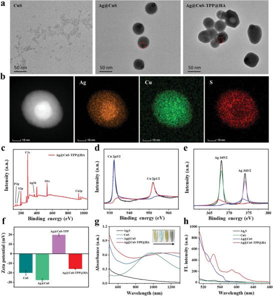 https://cdn.ncbi.nlm.nih.gov/pmc/blobs/b9fa/10953570/5d4cf8a2127c/ADVS-11-2306375-g004.jpg