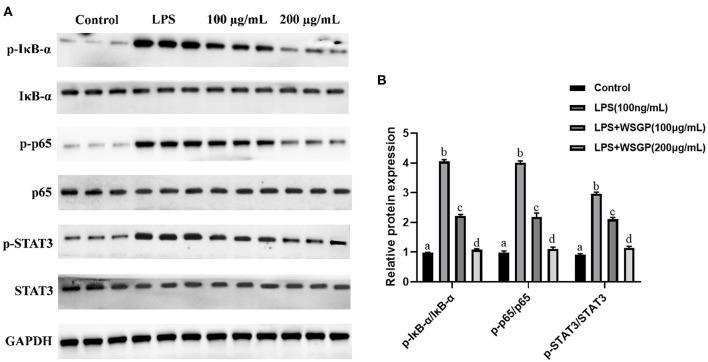https://cdn.ncbi.nlm.nih.gov/pmc/blobs/b9fa/9868249/e561bff16700/fnut-09-1092873-g0007.jpg