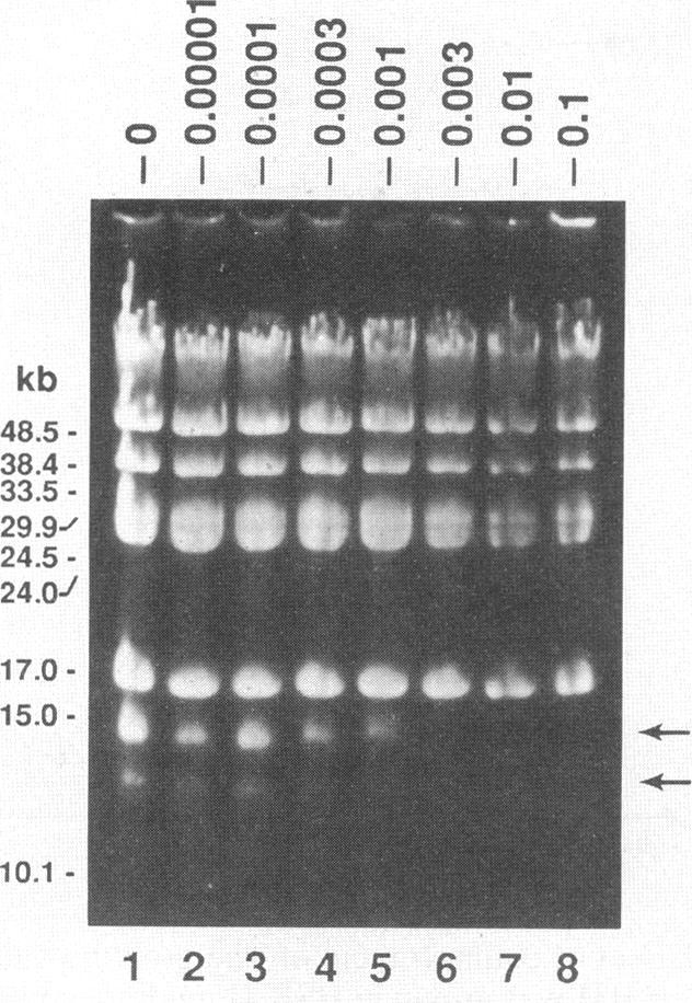 https://cdn.ncbi.nlm.nih.gov/pmc/blobs/b9fb/187602/4b36d3ea47d6/aac00023-0094-b.jpg