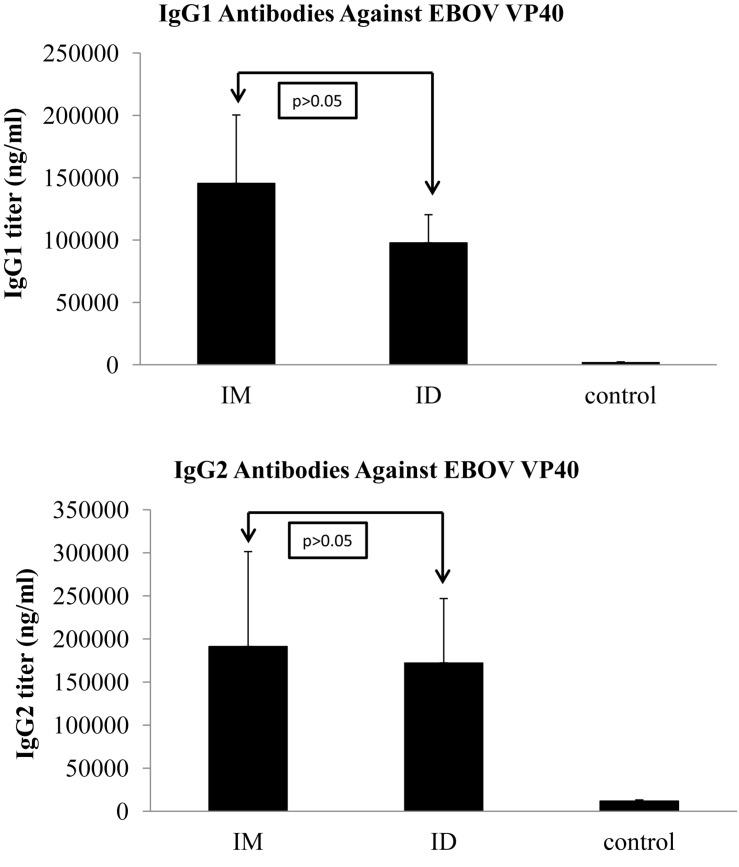 https://cdn.ncbi.nlm.nih.gov/pmc/blobs/b9fb/7056717/4fefaca71798/fmicb-11-00304-g004.jpg