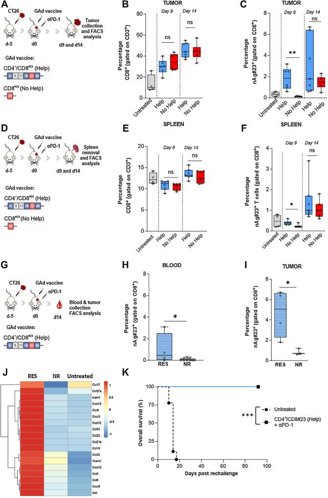 https://cdn.ncbi.nlm.nih.gov/pmc/blobs/b9fc/10985473/f0b2ffb02318/440fig6.jpg