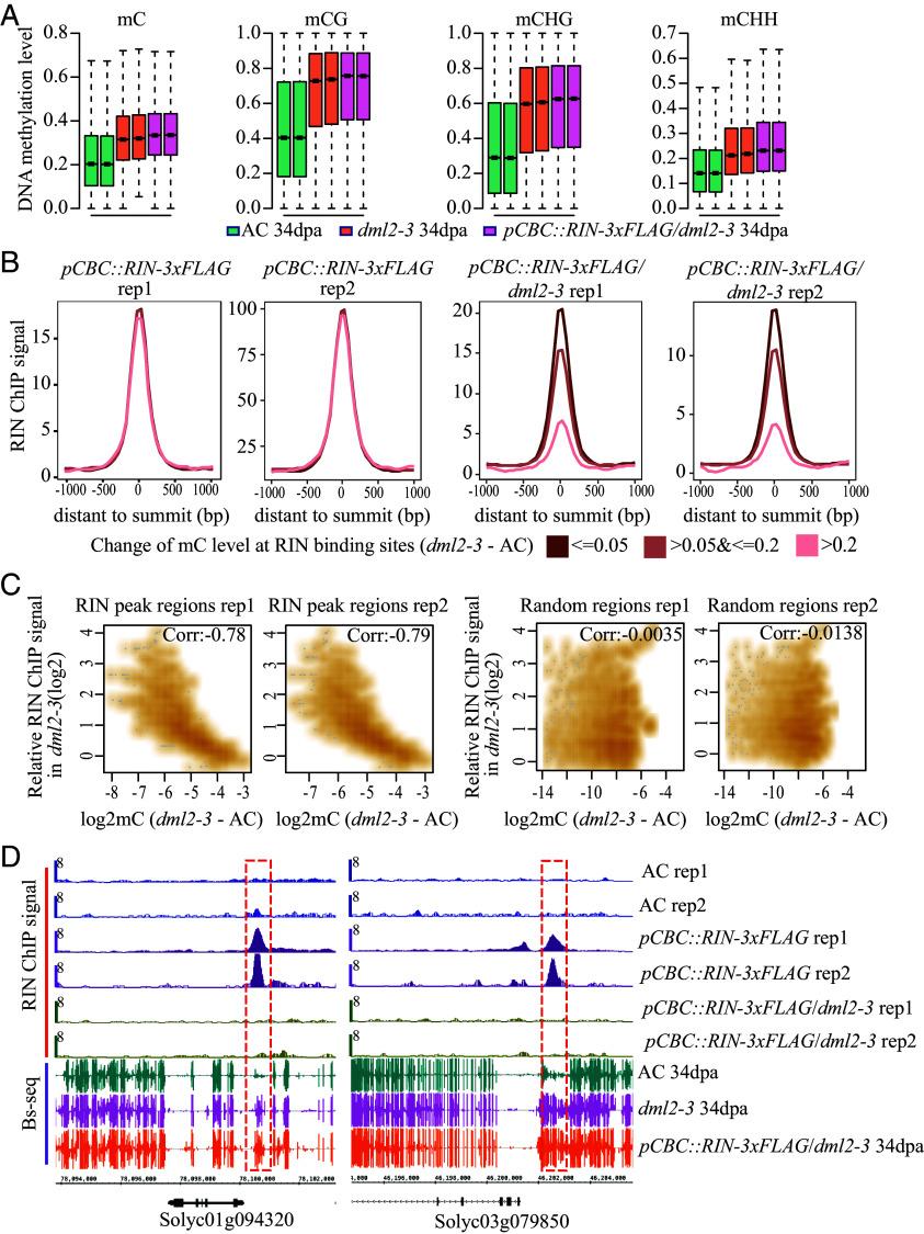 https://cdn.ncbi.nlm.nih.gov/pmc/blobs/b9fe/12012504/6ec5feffefc8/pnas.2422798122fig06.jpg