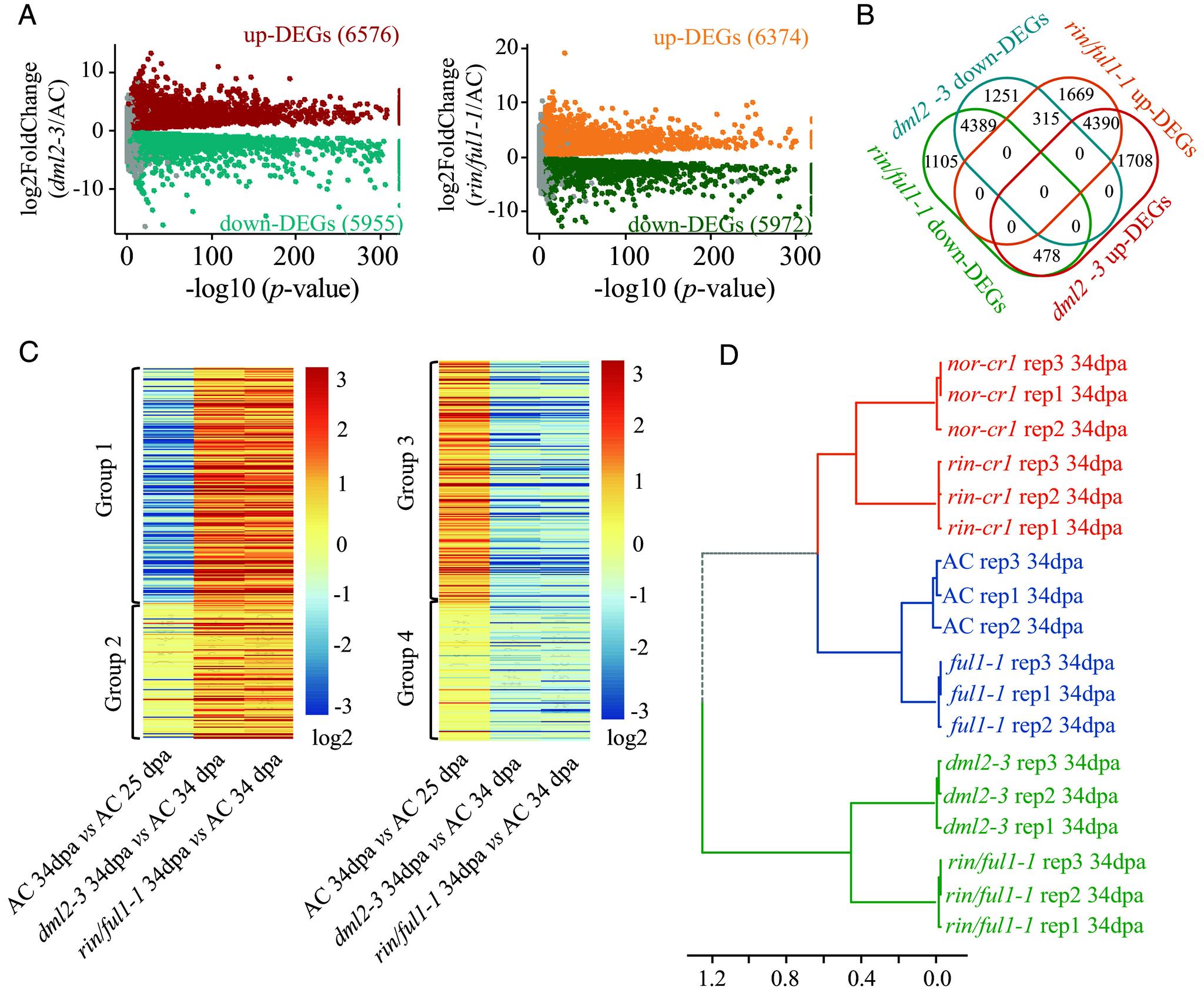 https://cdn.ncbi.nlm.nih.gov/pmc/blobs/b9fe/12012504/ac3744346d48/pnas.2422798122fig02.jpg