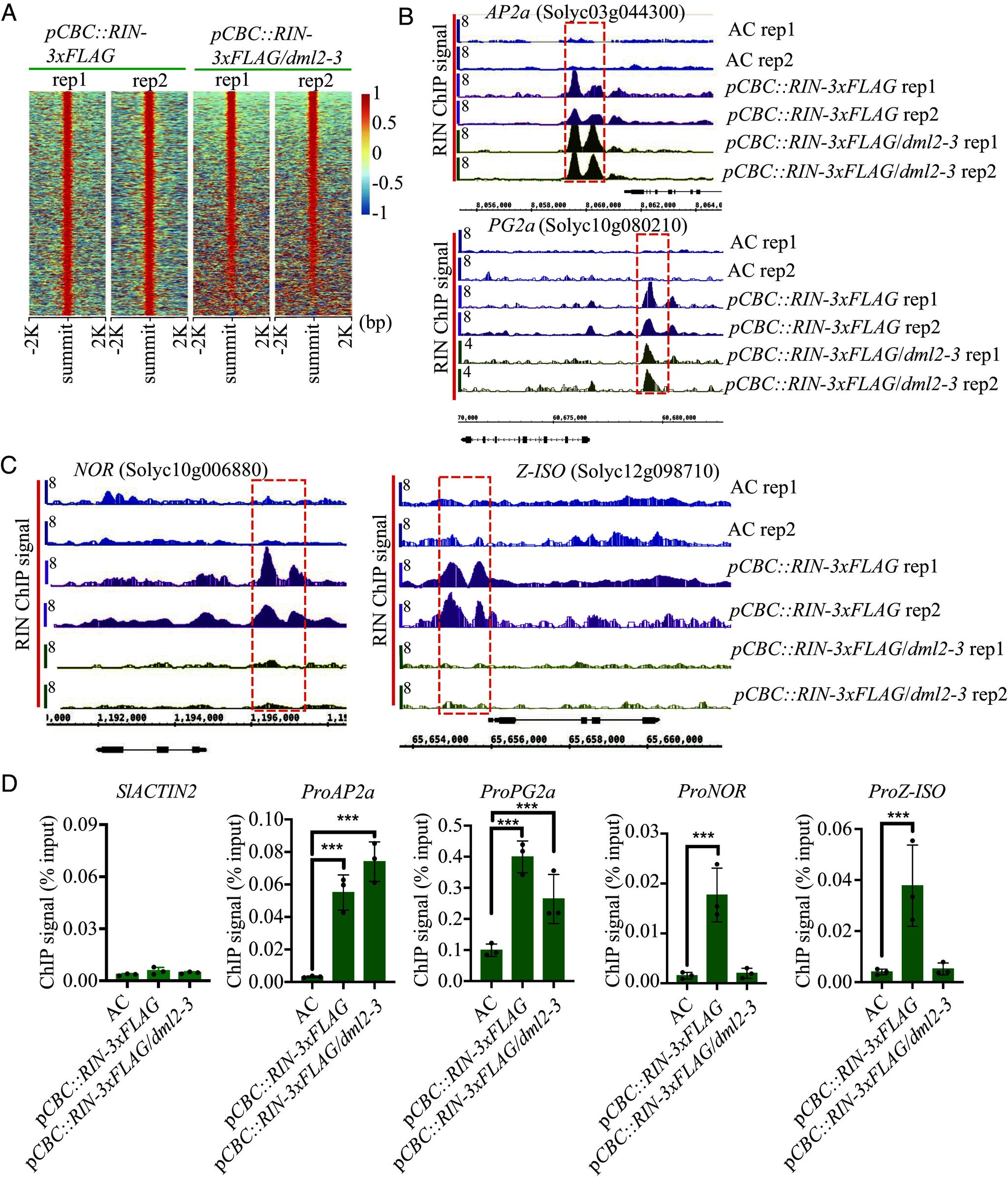 https://cdn.ncbi.nlm.nih.gov/pmc/blobs/b9fe/12012504/e92970d2f99b/pnas.2422798122fig05.jpg