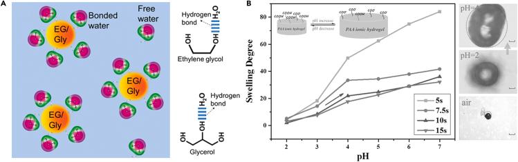 https://cdn.ncbi.nlm.nih.gov/pmc/blobs/b9ff/8564057/0acaf2415bb1/gr8.jpg