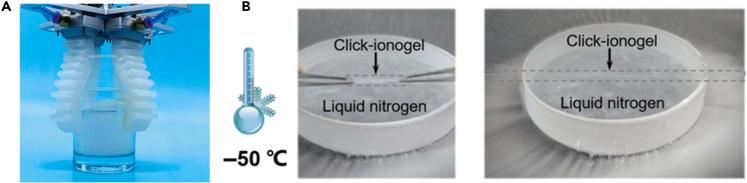https://cdn.ncbi.nlm.nih.gov/pmc/blobs/b9ff/8564057/9304e951cc0c/gr4.jpg