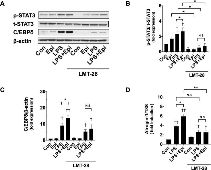 https://cdn.ncbi.nlm.nih.gov/pmc/blobs/ba03/8130926/550fd7e25c76/pone.0251921.g005.jpg