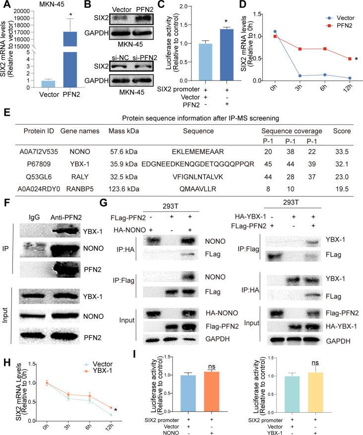 https://cdn.ncbi.nlm.nih.gov/pmc/blobs/ba04/11389068/4445352b379e/12967_2024_5618_Fig6_HTML.jpg