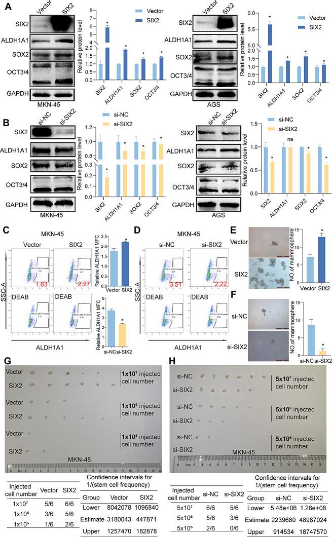 https://cdn.ncbi.nlm.nih.gov/pmc/blobs/ba04/11389068/a84eedd525bf/12967_2024_5618_Fig2_HTML.jpg