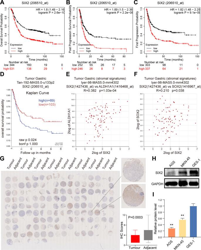 https://cdn.ncbi.nlm.nih.gov/pmc/blobs/ba04/11389068/cbc33905024e/12967_2024_5618_Fig1_HTML.jpg