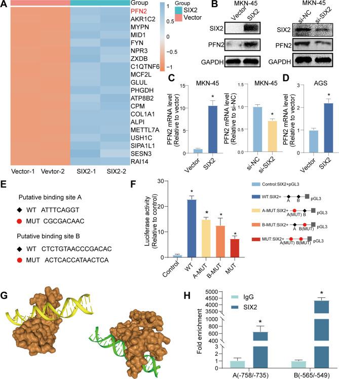 https://cdn.ncbi.nlm.nih.gov/pmc/blobs/ba04/11389068/d8df6b9c3bd6/12967_2024_5618_Fig3_HTML.jpg