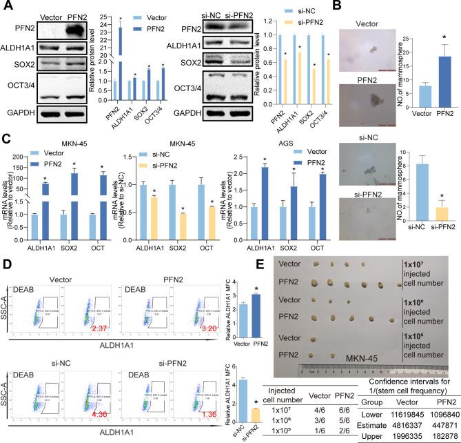 https://cdn.ncbi.nlm.nih.gov/pmc/blobs/ba04/11389068/eee30401b03b/12967_2024_5618_Fig5_HTML.jpg