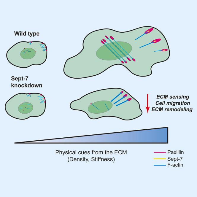 https://cdn.ncbi.nlm.nih.gov/pmc/blobs/ba07/11625310/d041f394bde4/fx1.jpg