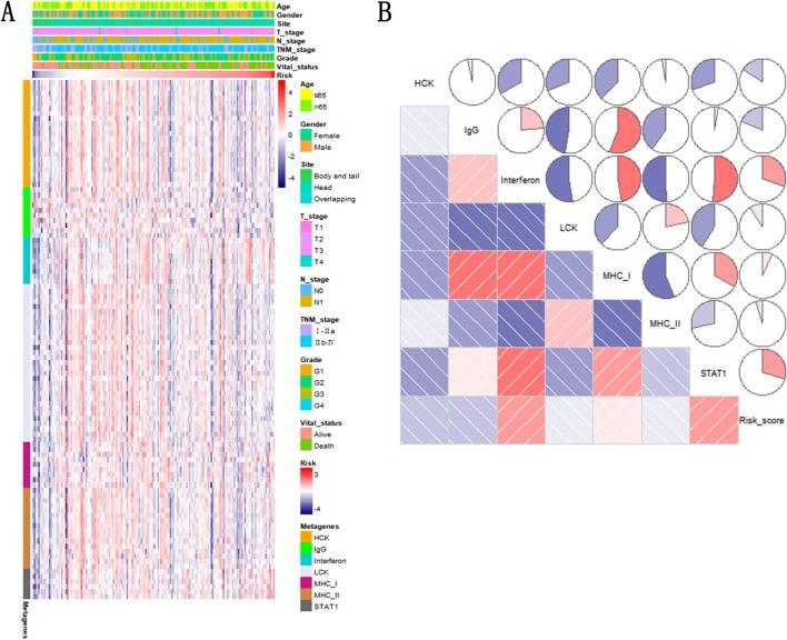 https://cdn.ncbi.nlm.nih.gov/pmc/blobs/ba08/11217423/16bcb6d08bcb/41598_2024_65917_Fig7_HTML.jpg