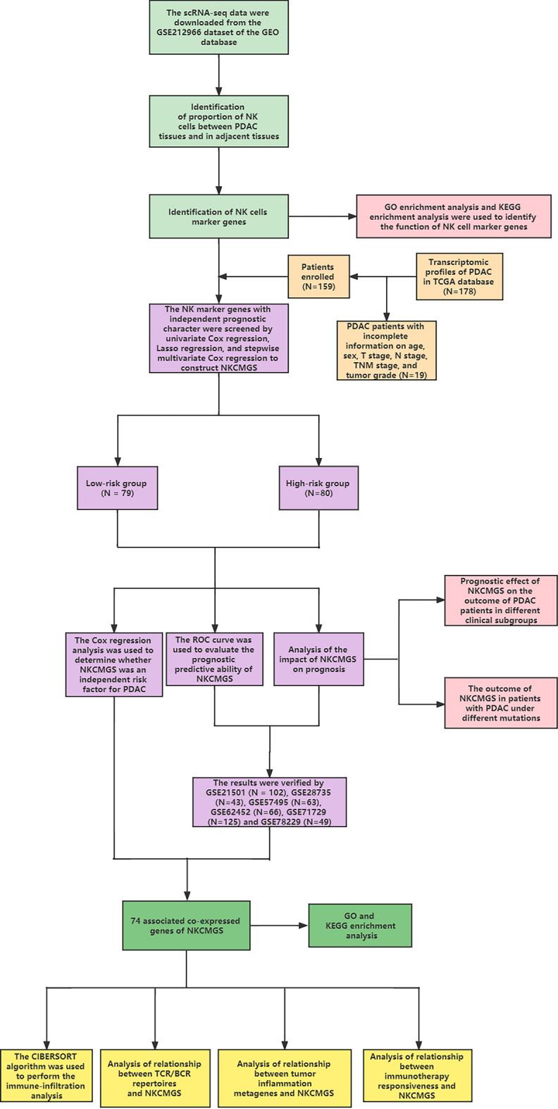 https://cdn.ncbi.nlm.nih.gov/pmc/blobs/ba08/11217423/b9a22bf89893/41598_2024_65917_Fig1_HTML.jpg