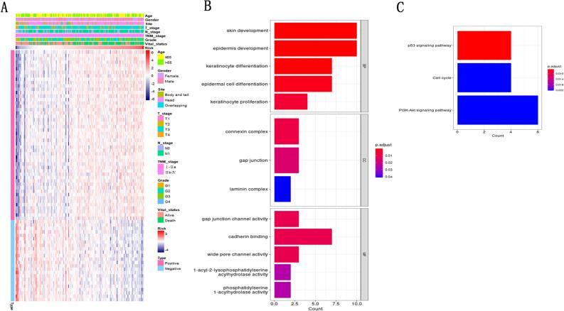 https://cdn.ncbi.nlm.nih.gov/pmc/blobs/ba08/11217423/d681a233140d/41598_2024_65917_Fig5_HTML.jpg