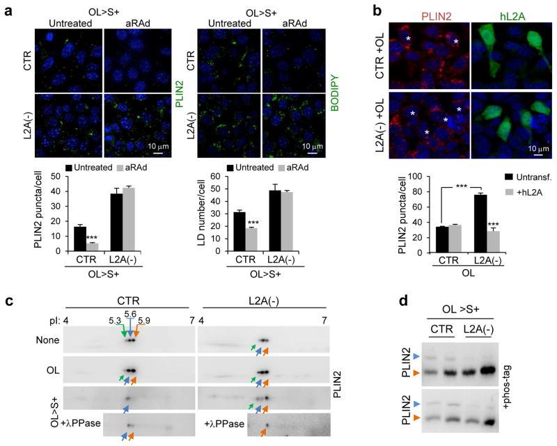 https://cdn.ncbi.nlm.nih.gov/pmc/blobs/ba09/4449813/a5b61a2d0940/nihms675035f4.jpg