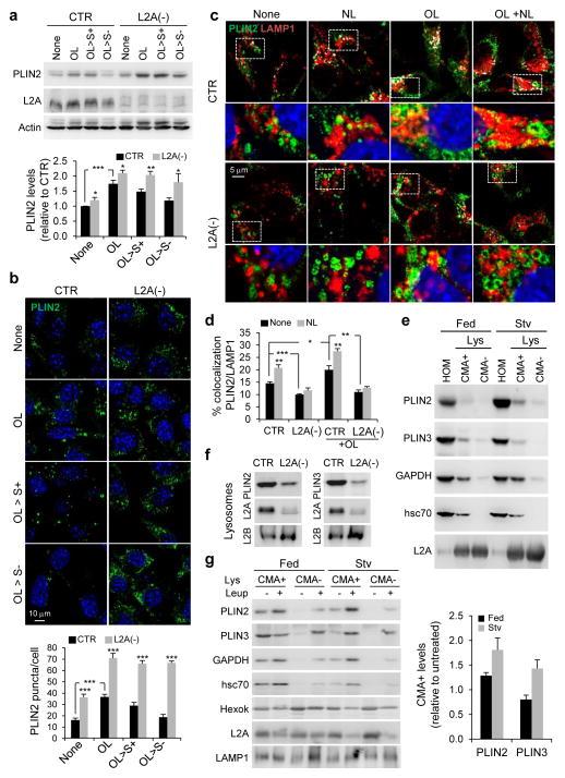 https://cdn.ncbi.nlm.nih.gov/pmc/blobs/ba09/4449813/e6adc2a87eb4/nihms675035f2.jpg