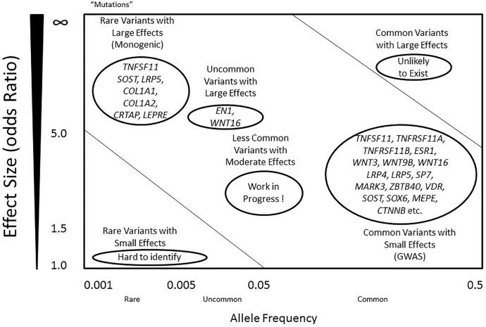 https://cdn.ncbi.nlm.nih.gov/pmc/blobs/ba09/6455049/d9224b852e8c/fgene-10-00288-g001.jpg