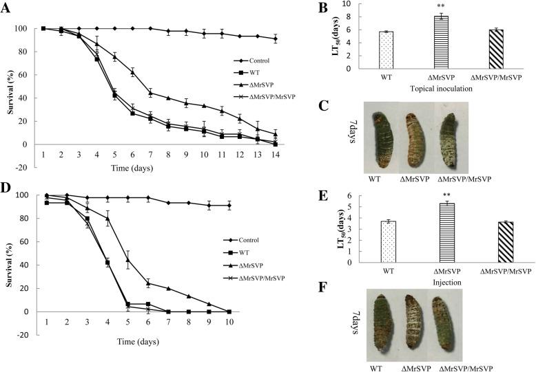 https://cdn.ncbi.nlm.nih.gov/pmc/blobs/ba0a/6350332/74ee117a6868/12866_2019_1396_Fig2_HTML.jpg