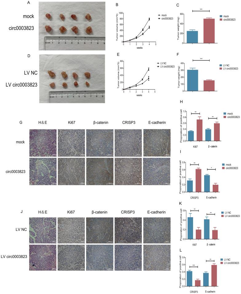 https://cdn.ncbi.nlm.nih.gov/pmc/blobs/ba0a/9576509/7ae49805068d/ijbsv18p5787g005.jpg