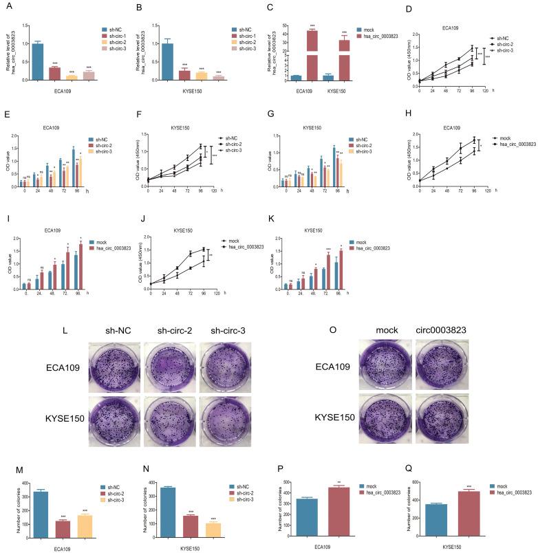https://cdn.ncbi.nlm.nih.gov/pmc/blobs/ba0a/9576509/8668b773cdf4/ijbsv18p5787g003.jpg