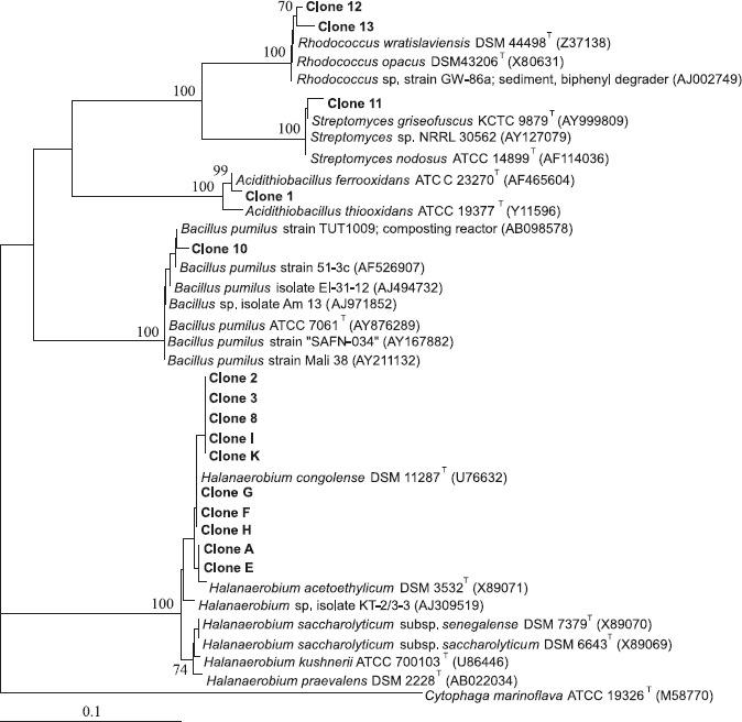 https://cdn.ncbi.nlm.nih.gov/pmc/blobs/ba0f/3768447/1501e8d704d4/bjm-39-445-g003.jpg