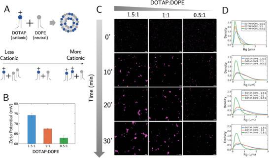 https://cdn.ncbi.nlm.nih.gov/pmc/blobs/ba11/11948016/9d1129909f70/ADVS-12-2414305-g007.jpg