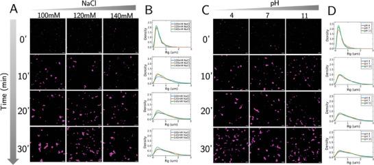 https://cdn.ncbi.nlm.nih.gov/pmc/blobs/ba11/11948016/d6ca4a2bcd86/ADVS-12-2414305-g003.jpg