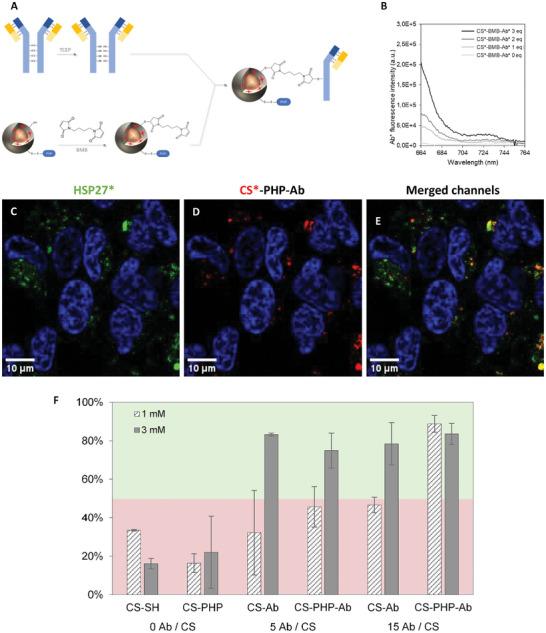 https://cdn.ncbi.nlm.nih.gov/pmc/blobs/ba13/11962688/da95213c3171/SMLL-21-2410454-g003.jpg
