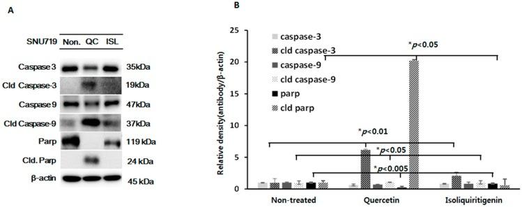https://cdn.ncbi.nlm.nih.gov/pmc/blobs/ba15/6274130/aca058cb8350/molecules-21-01286-g004.jpg