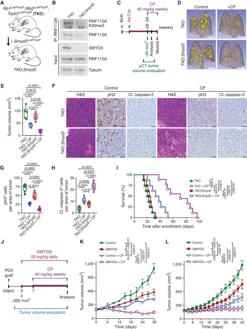 https://cdn.ncbi.nlm.nih.gov/pmc/blobs/ba15/9437563/a2471a592d32/2158fig7.jpg