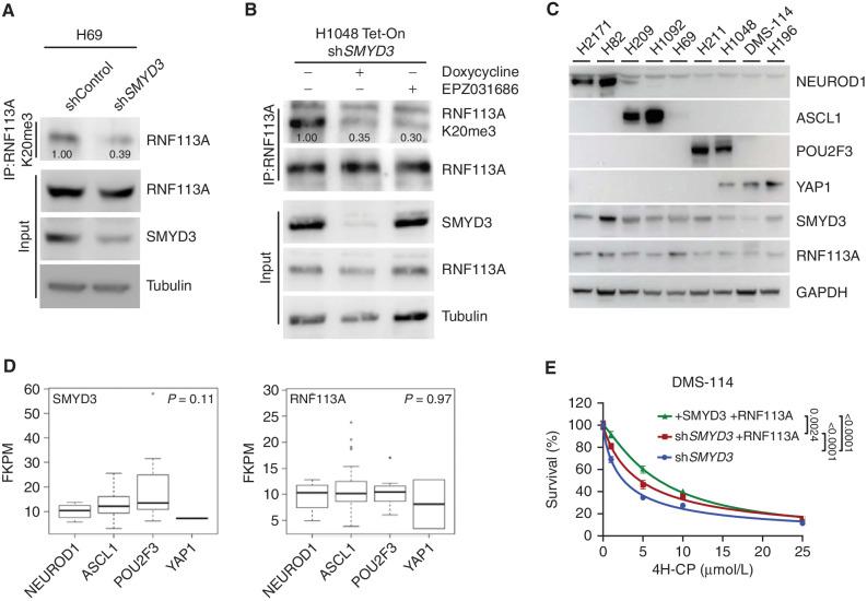https://cdn.ncbi.nlm.nih.gov/pmc/blobs/ba15/9437563/b02b684901f5/2158fig3.jpg