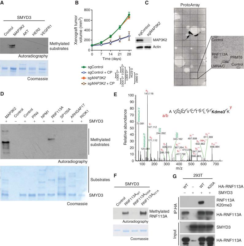 https://cdn.ncbi.nlm.nih.gov/pmc/blobs/ba15/9437563/eead4ed7d73f/2158fig2.jpg