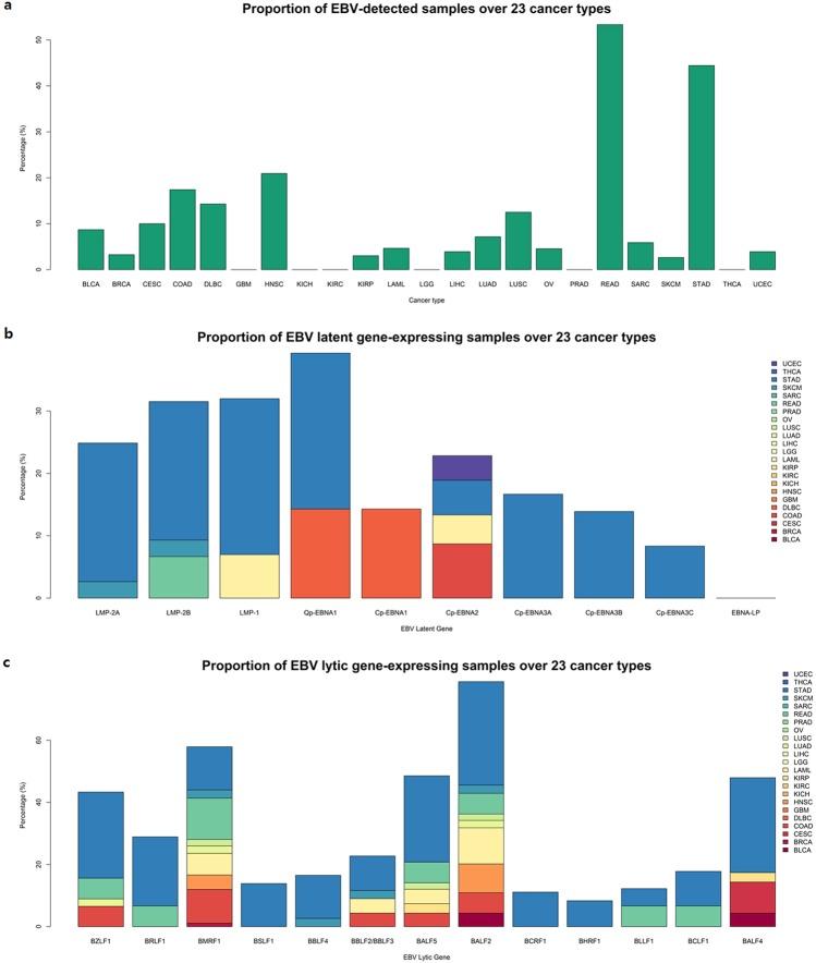 https://cdn.ncbi.nlm.nih.gov/pmc/blobs/ba16/6401378/c077d3d203e3/41598_2019_39706_Fig2_HTML.jpg