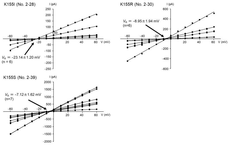 https://cdn.ncbi.nlm.nih.gov/pmc/blobs/ba17/10741074/054a56b3ac2e/biology-12-01481-g005.jpg