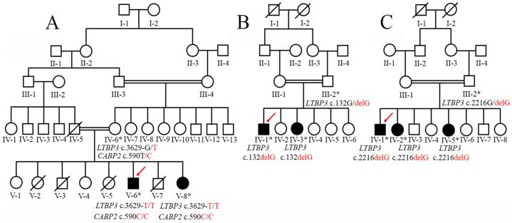 https://cdn.ncbi.nlm.nih.gov/pmc/blobs/ba18/10772639/e1c1ee61aa01/gr1.jpg