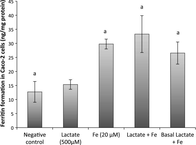https://cdn.ncbi.nlm.nih.gov/pmc/blobs/ba18/4737790/3f81099ec942/394_2015_857_Fig3_HTML.jpg